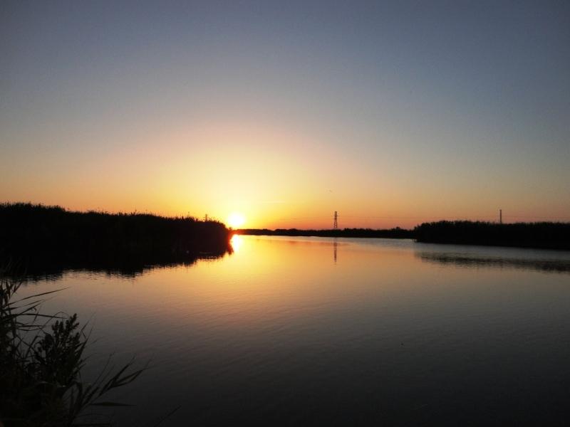 Delta iunie 2013 - dsc09910.JPG